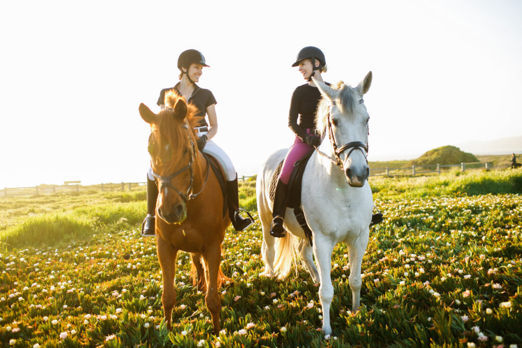 Friends Riding Horses